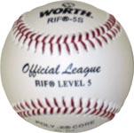 Worth RIF Baseball Ages 9-10