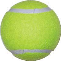 Single Practice Tennis Ball