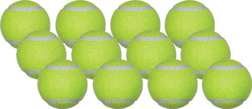 Practice Tennis Balls (Dozen)
