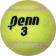 Penn Championship Tennis Balls (3 balls)