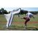 Collegiate Kicking Cage
